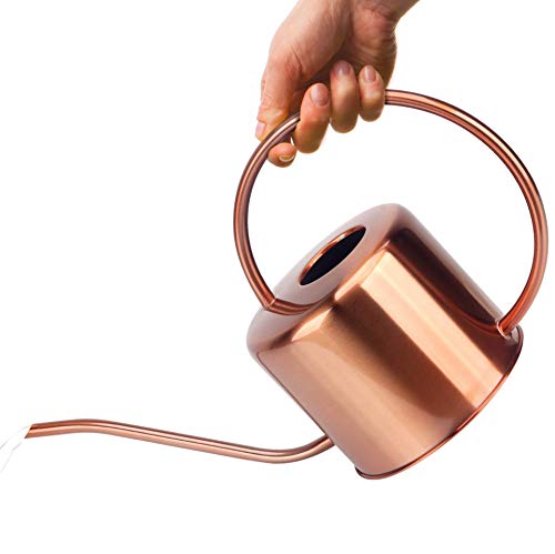 Pretty Copper Watering Can with a Gooseneck Sprout