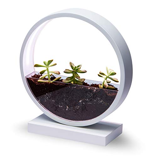 Planter Kit with LED Dimmable Light