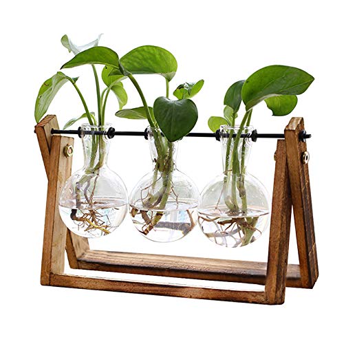 Tabletop Bulb Vases with Wooden Stand