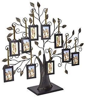 Family Tree Frame Display