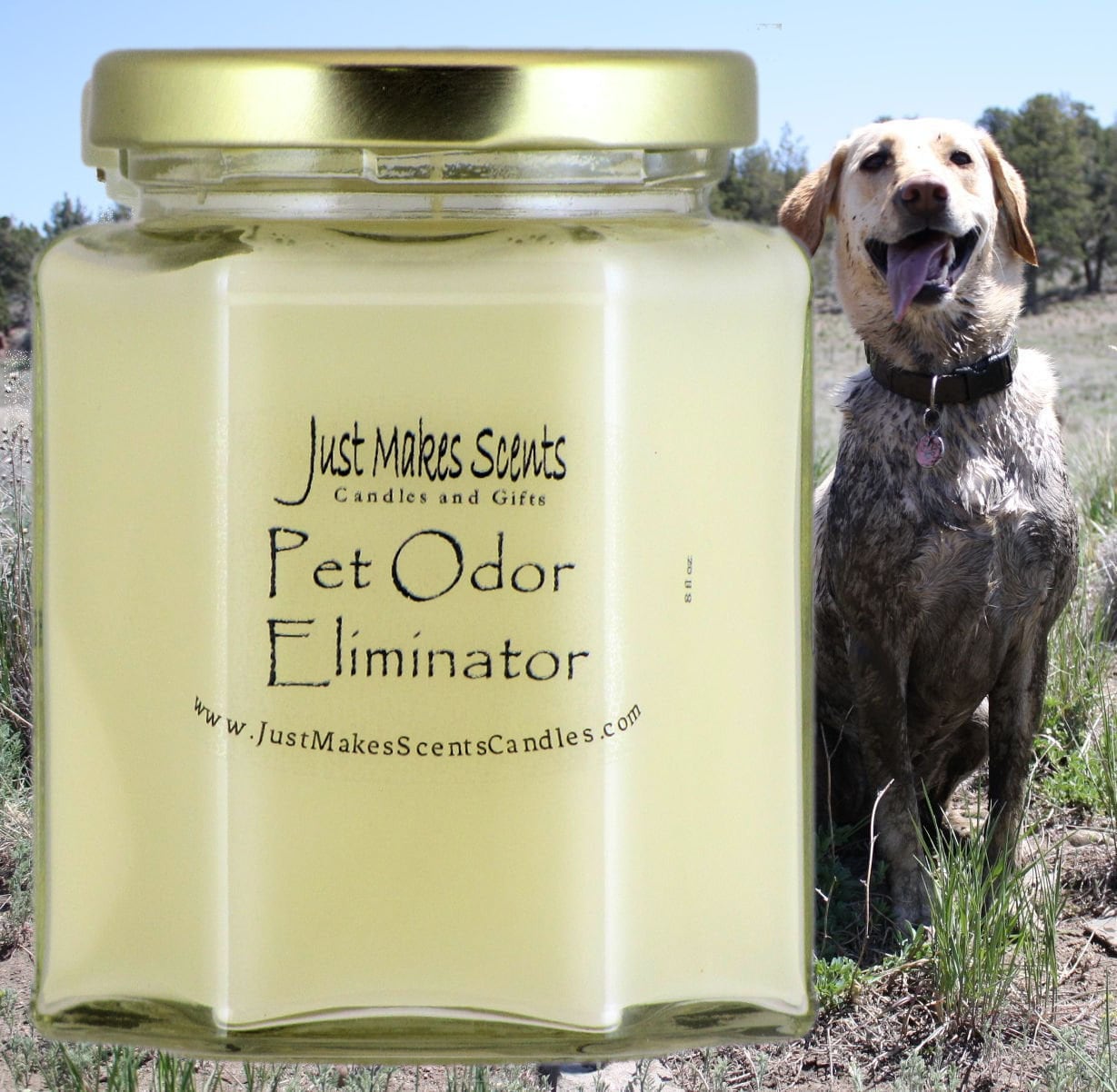 Pet Odor Eliminator Soy Candles