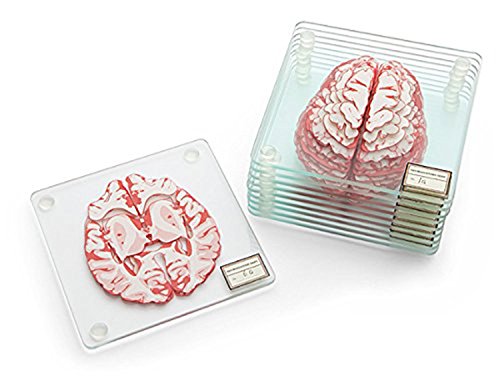 Anatomic Brain Coasters 