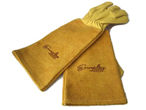 Rose Pruning Gloves for Certified Plant Persons