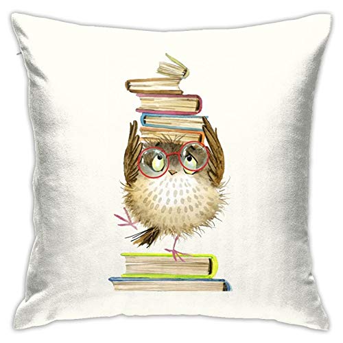 Comfortable, Stylish and Cuddly Owl Throw Pillow