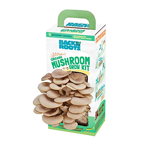 Organic Oyster Mushroom Growing Kit