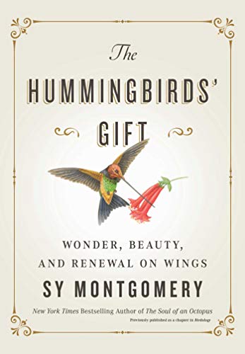 Fascinating Hummingbird Hardbound Book    