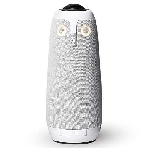 Smart Owl-Shaped Remote Video Camera and Microphone