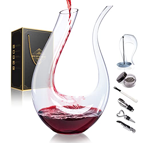 Stylish Wine Carafe with Accessories