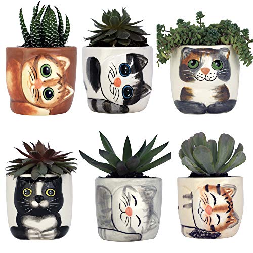 Charming and Decorative Kitty Planters