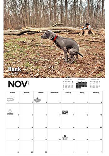 Funny Dog-Design Gag Calendar Gift 