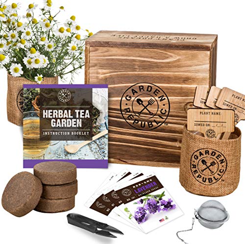 Perfect, Personal, Chic Tea-Growing Kit