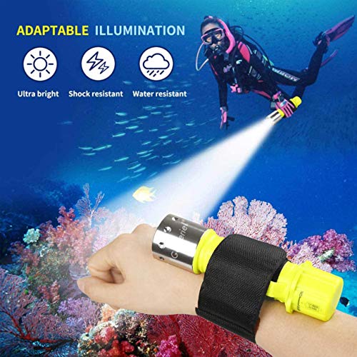 Underwater Waterproof LED Torch