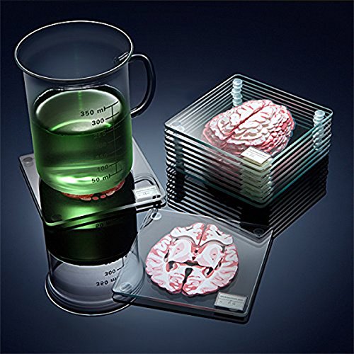 Perfect, Sturdy and Anatomically-Correct, Brain Specimen Coasters 