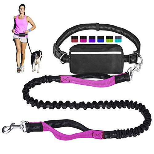 Hands-Free Leash for the Athletic Multitasker 