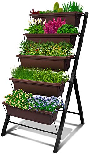 5-Tier Garden Bed for a Greenhouse Enthusiast