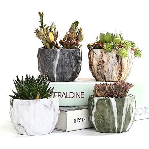 Marbled Ceramic Flower Pots for a Green Thumb