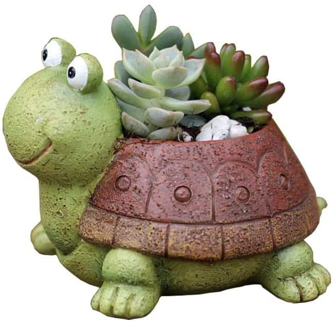 Silly Turtle Flower Pot