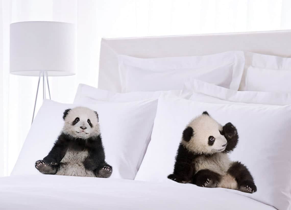 Sleepy Panda Pillow Cases