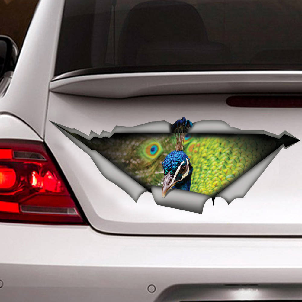 Funny Peacock Car Decal