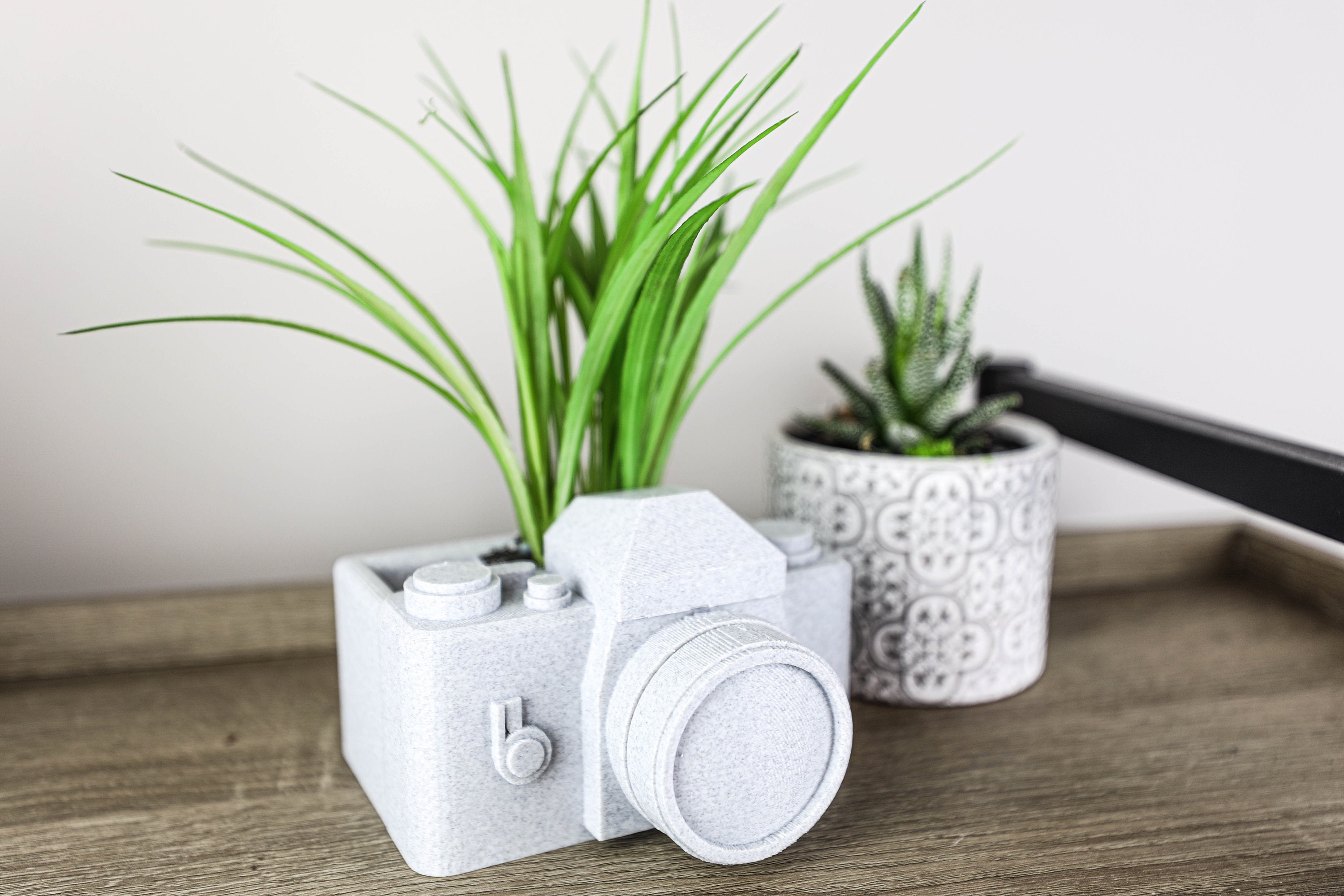 Succulent Planter in a Chic Camera Style