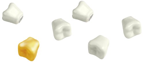 6-Piece Teeth Magnets 