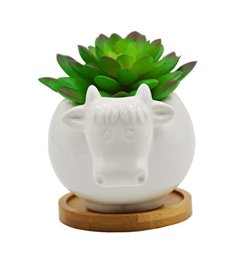 Gorgeous Cow-Shaped Ceramic Succulent Pot 