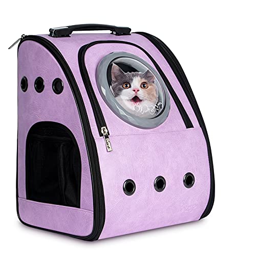 Travel-Approved Pet Carrier Backpack