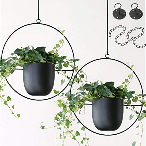 Hanging Planters With Modern Metal Holders 