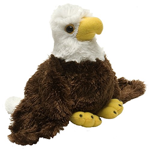 Adorable American Bald Eagle Plushie