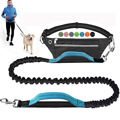 Hands-Free Dog Leash for Walking 