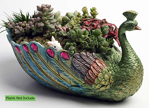 Attractive Peacock-Design Succulent Planter 