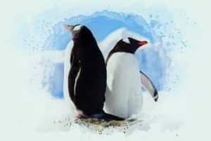 74 Unique Penguin Gifts Only Thoughtful Gifters Give