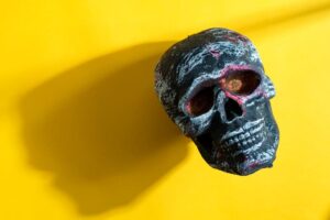 48 Cool Skull Gifts Any Creepy Skull Lover Will Want